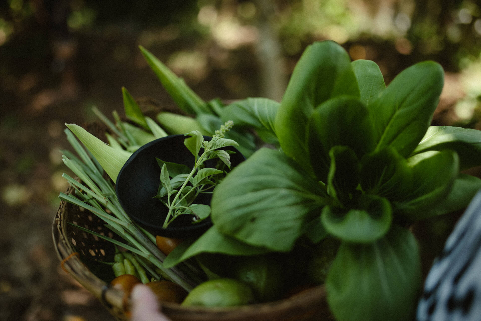Sarah Palik Bali Cookingclass Header