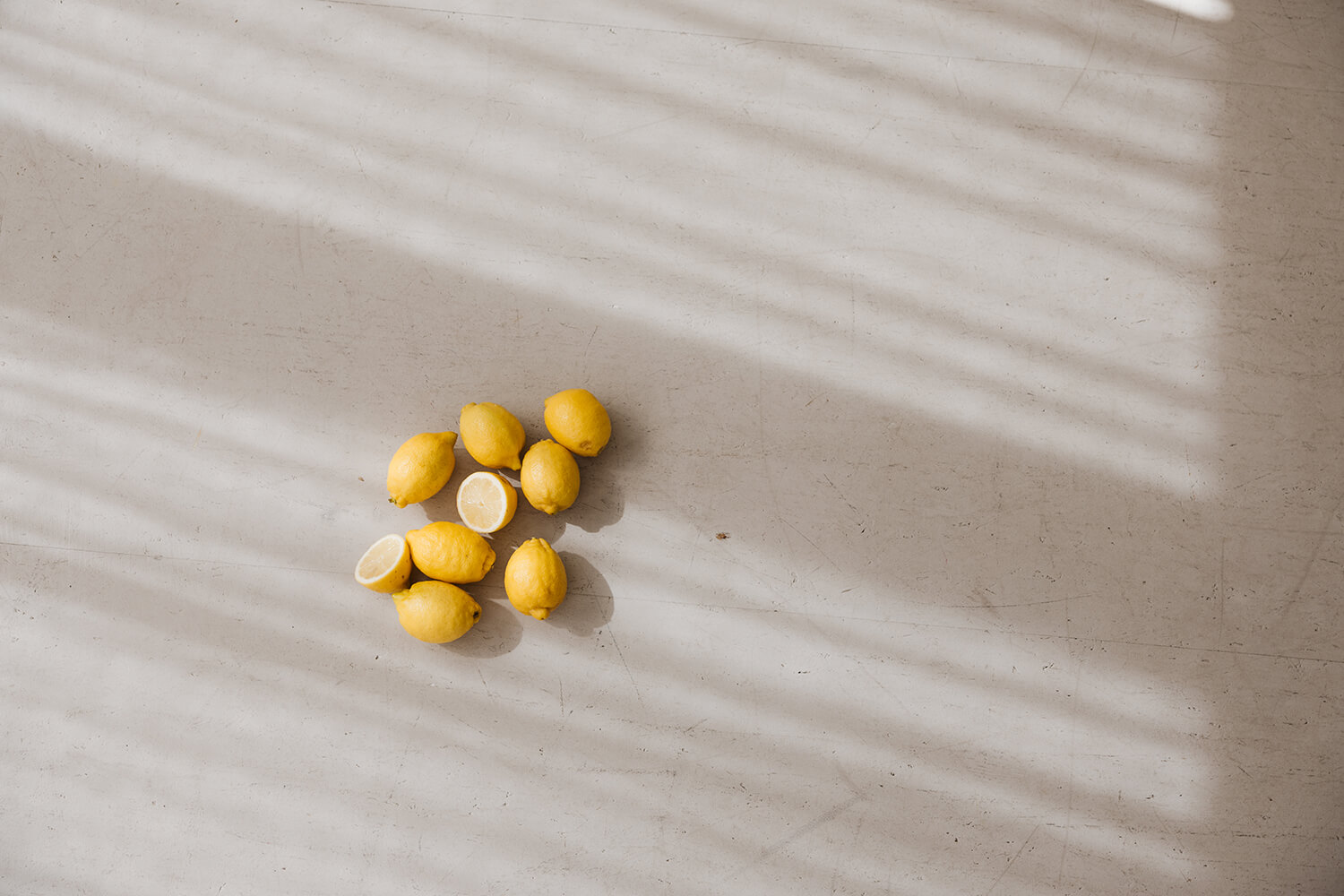 Sarah Palik Lemon 13