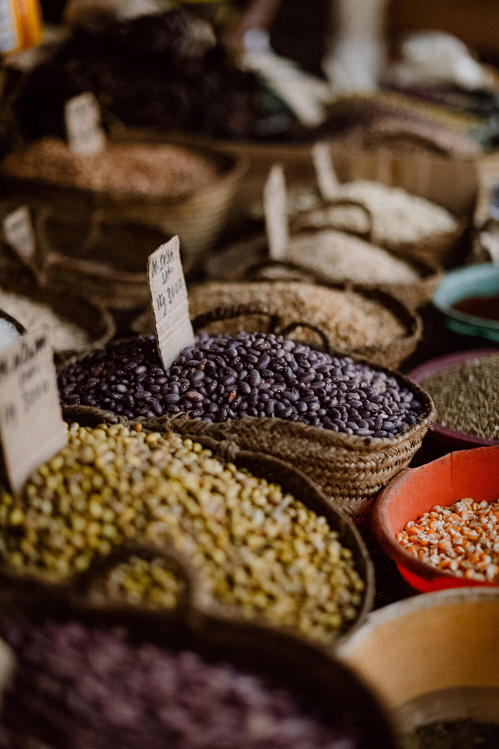 Sarah Palik Xanadu Hotel 2