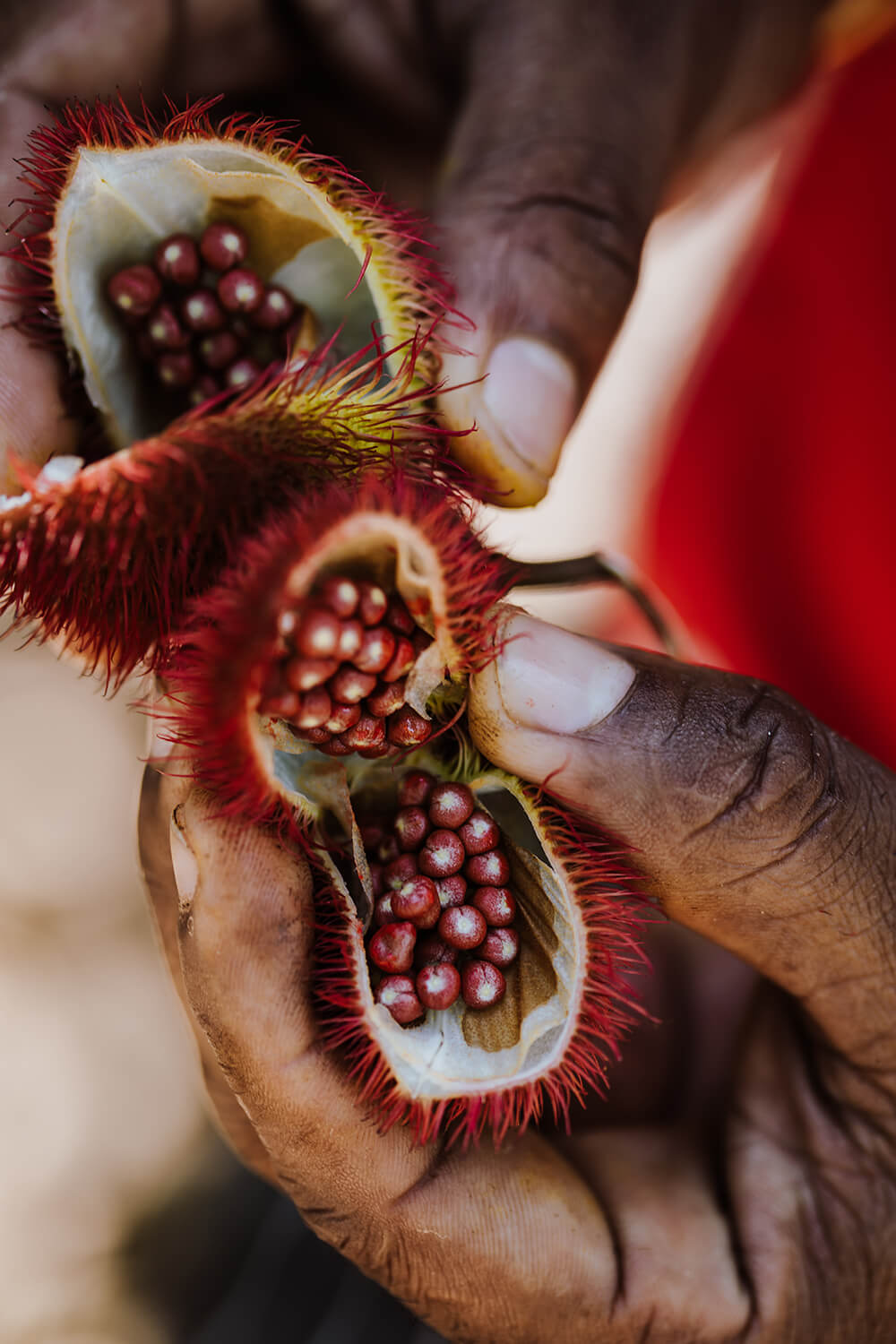 Sarah Palik Xanadu Hotel 3