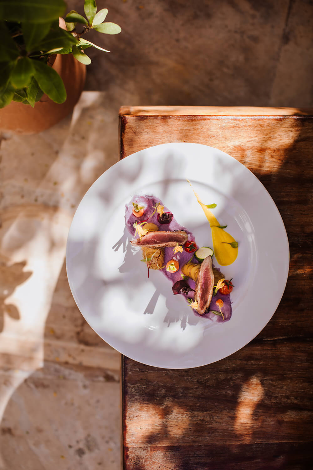 Sarah Palik Xanadu Hotel 4