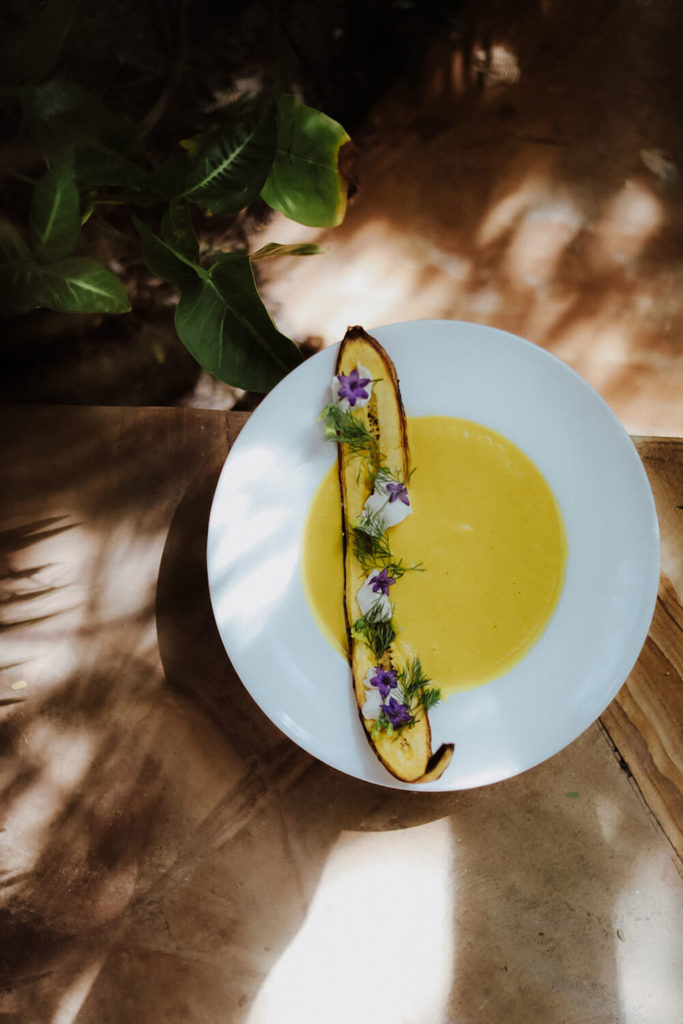 Sarah Palik Xanadu Hotel Beitrag