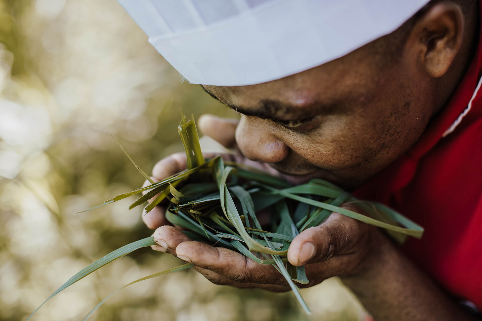 Sarah Palik Xanadu Hotel Header