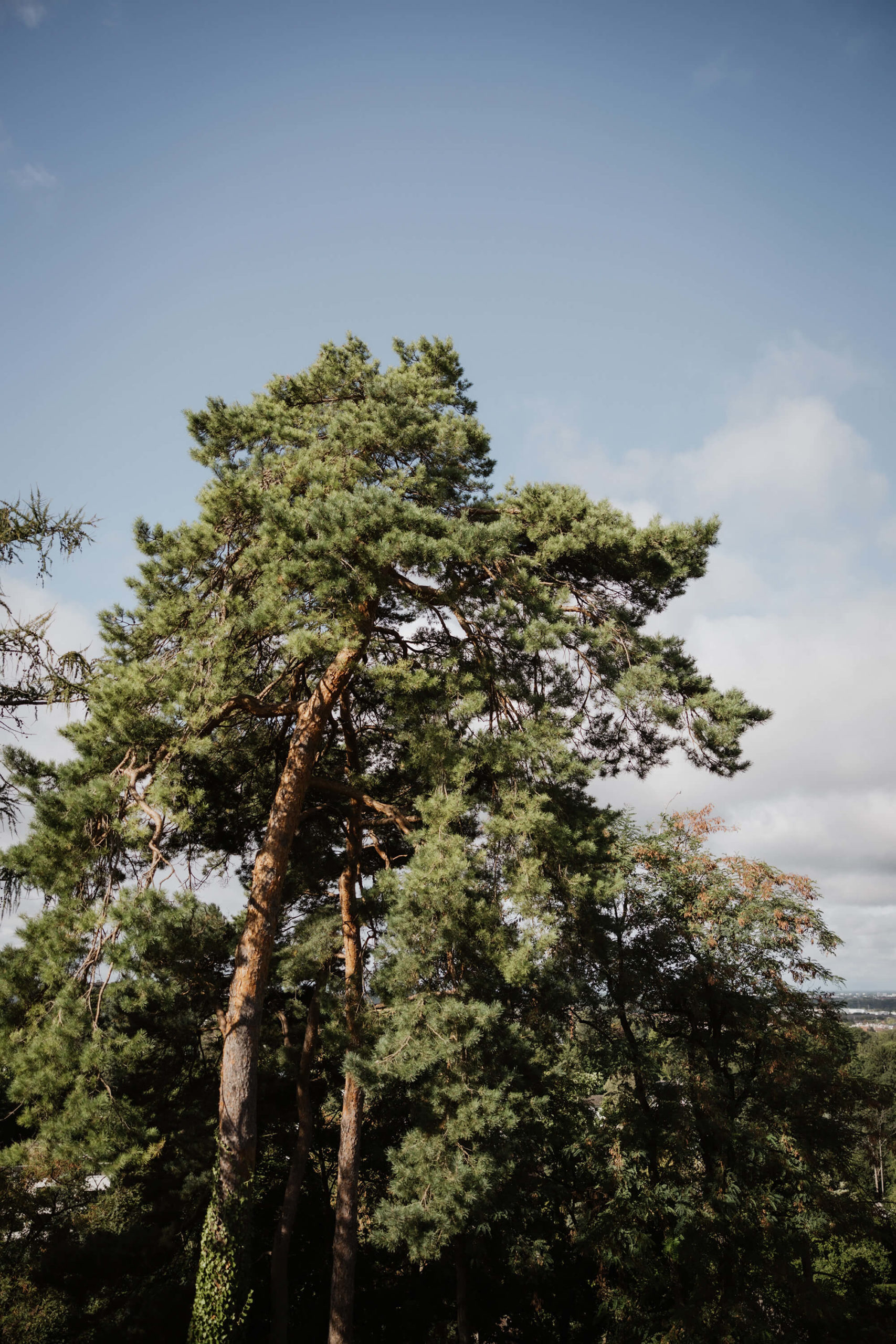 Sarah Palik Wedding Photography Fine Art